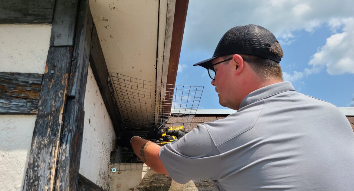 Wildlife Control Clinton