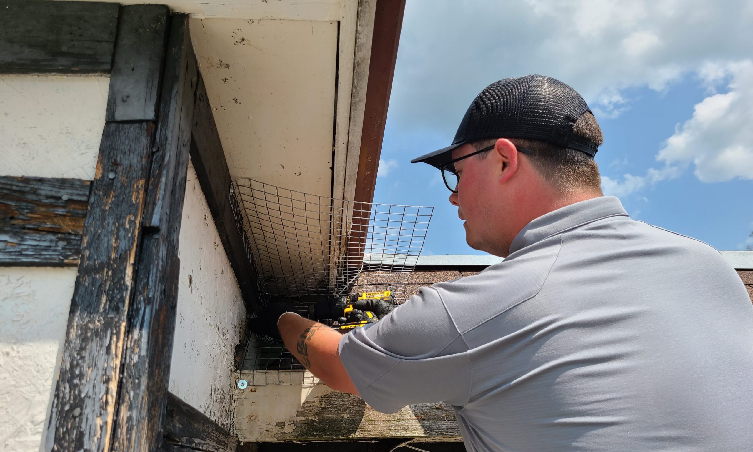 Wildlife Control Clinton