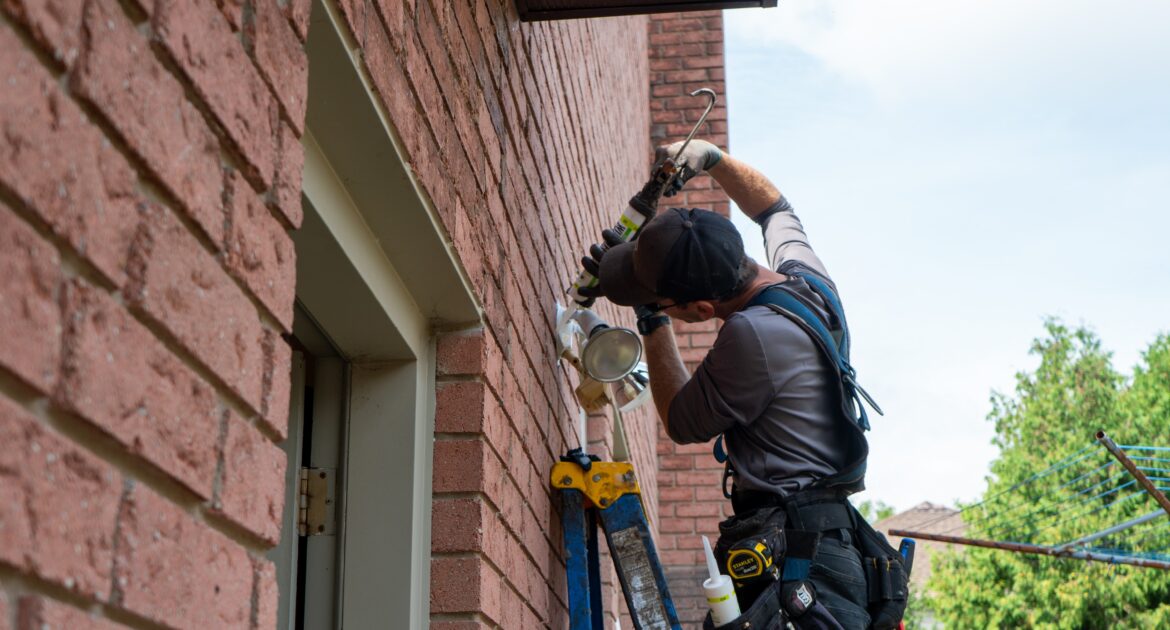 Mouse Removal Hiram