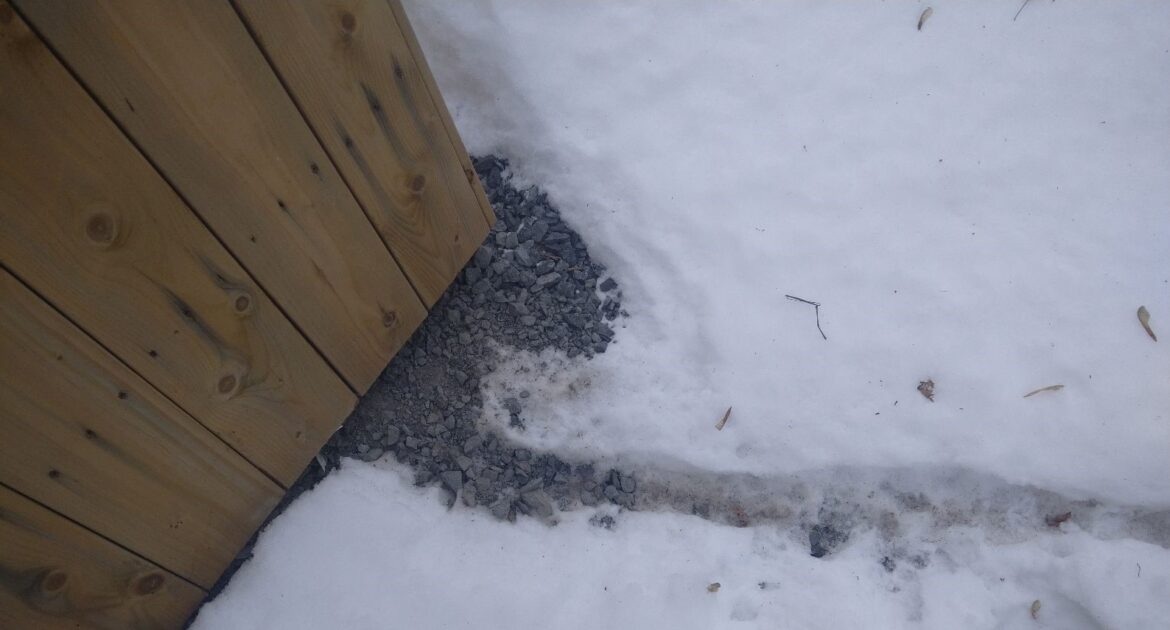 Saint Paul Wildlife Control - Are Rats Still Active in Winter