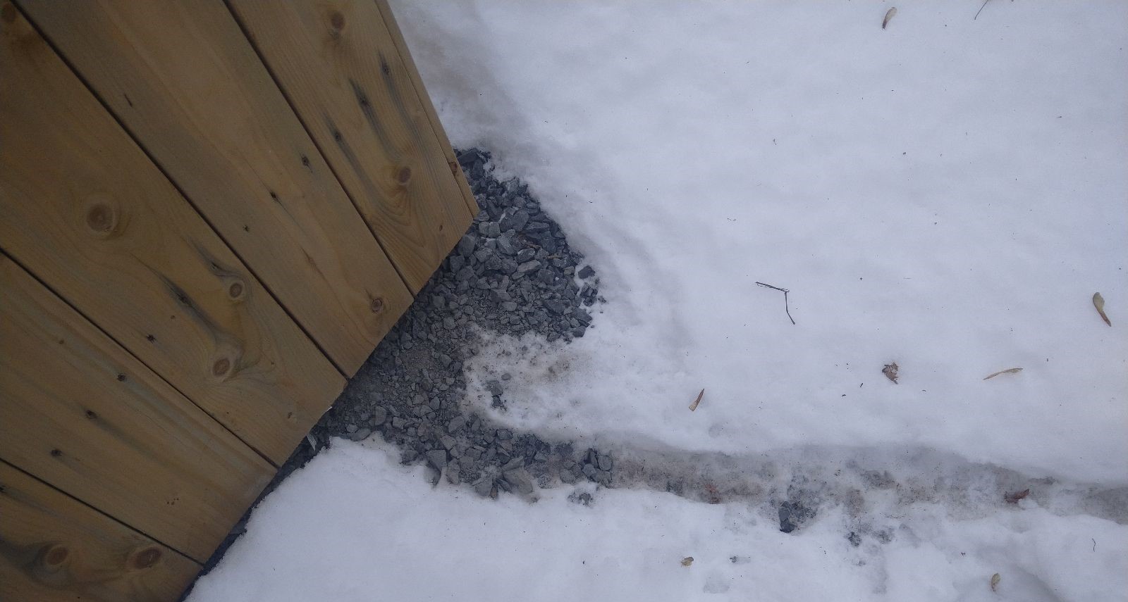 Saint Paul Wildlife Control - Are Rats Still Active in Winter