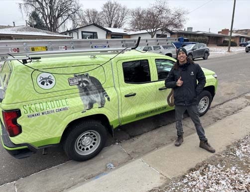 Denver Tucks skedaddle humane wildlife control