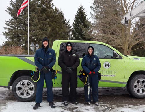 Skedaddle Humane Wildlife Control Gahanna Team