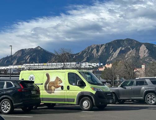 Denver Tucks skedaddle humane wildlife control