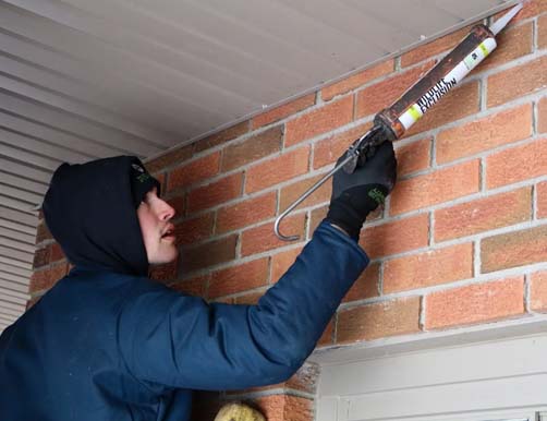 Skedaddle humane wildlife control Dublin with sealant