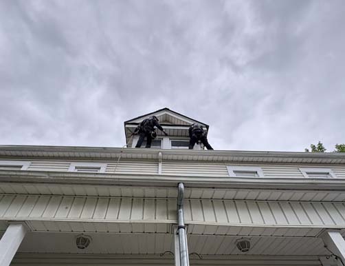 Skedaddle Wildlife Technicians Performing High-Level Roof and Soffit Inspections