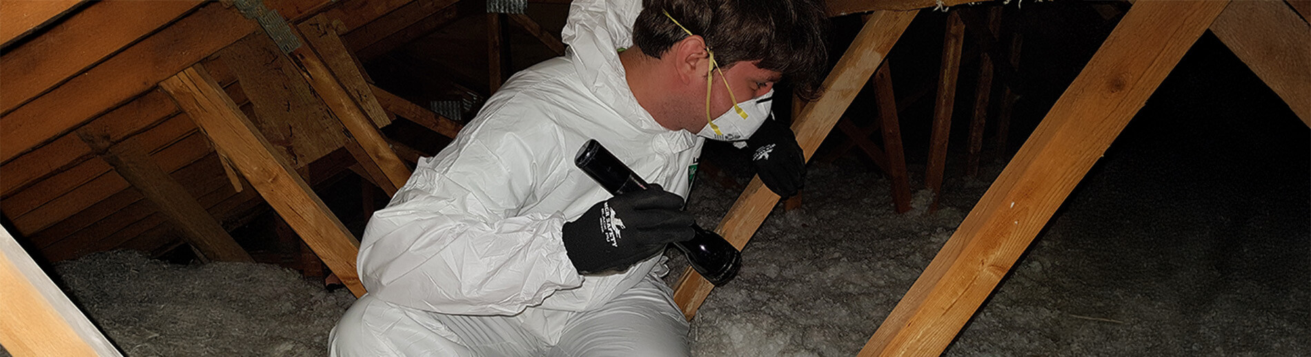 Attic Restoration