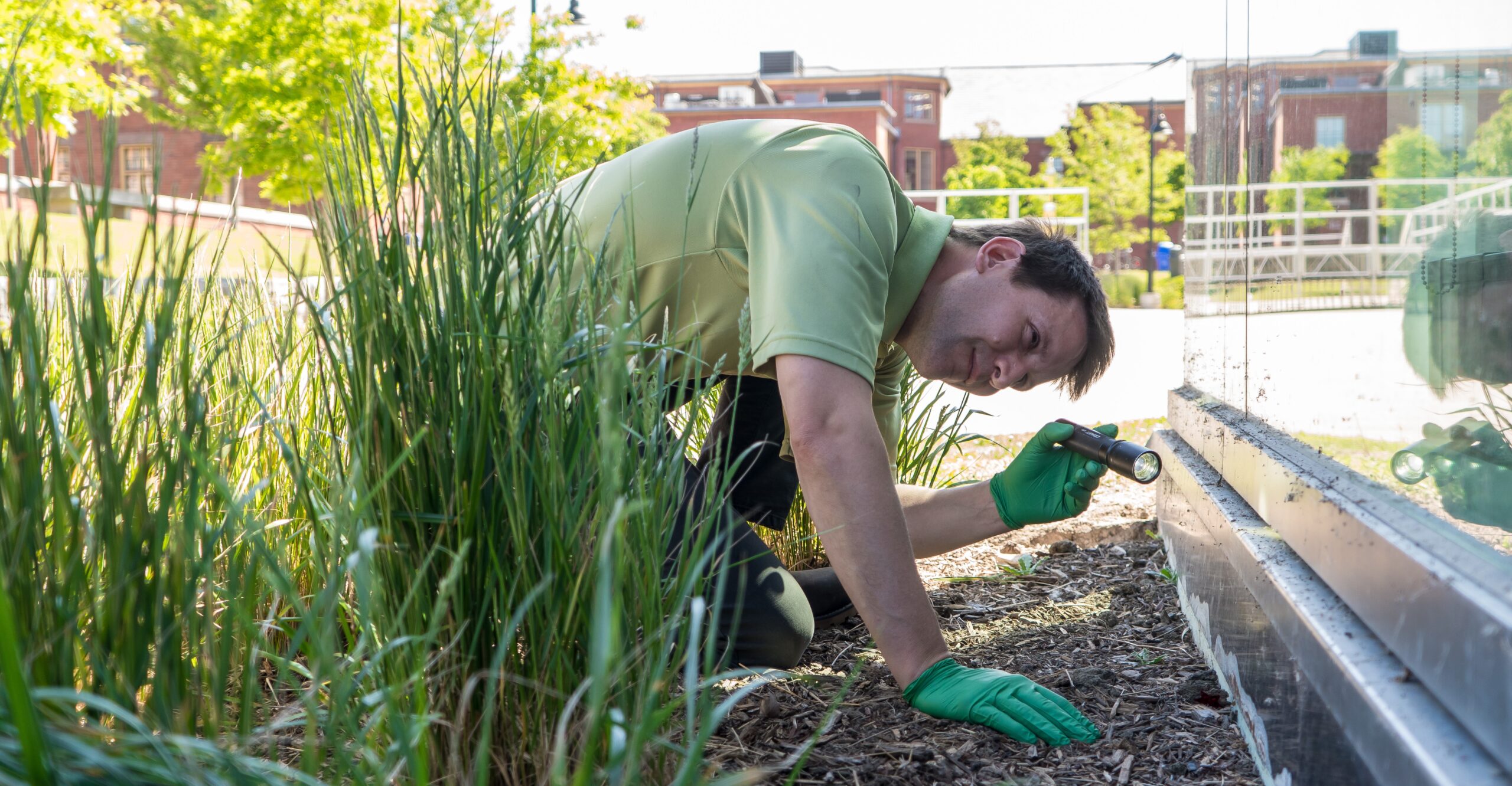 How Weather Changes Affect Pest Activity in Your Home