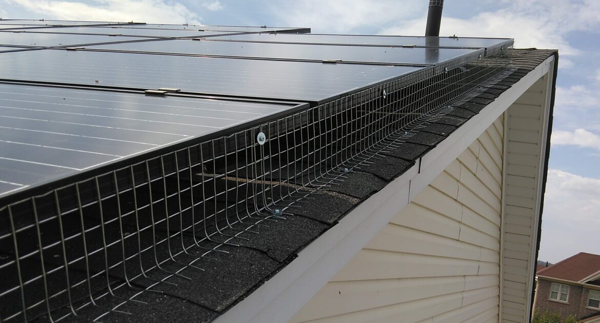 Bird-Proofing Your Solar Panels - Maintaining Efficiency and Preventing Damage
