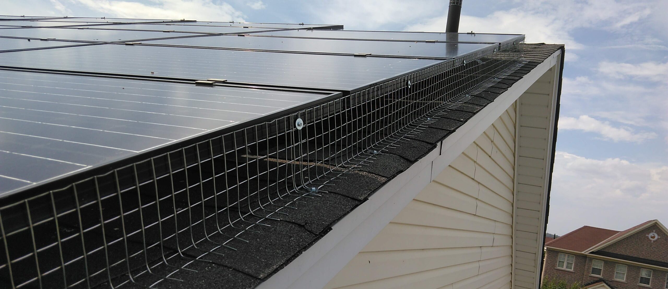 Creating Bird-Safe Spaces Around Your Property While Protecting Your Roof and Vents