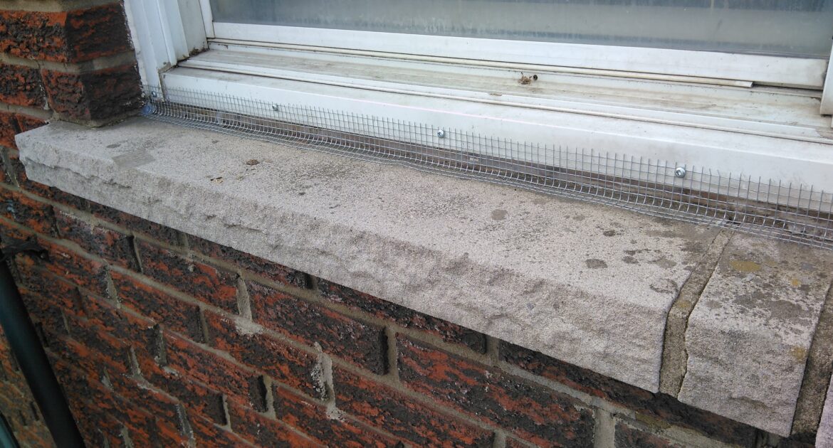 Why Sealing Entry Points is Crucial for Long Term Mouse Control