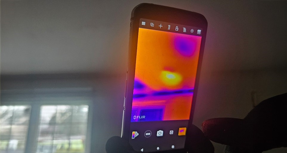 High-Tech Wildlife Removal - Using Thermal Imaging to Safely Evict Raccoons