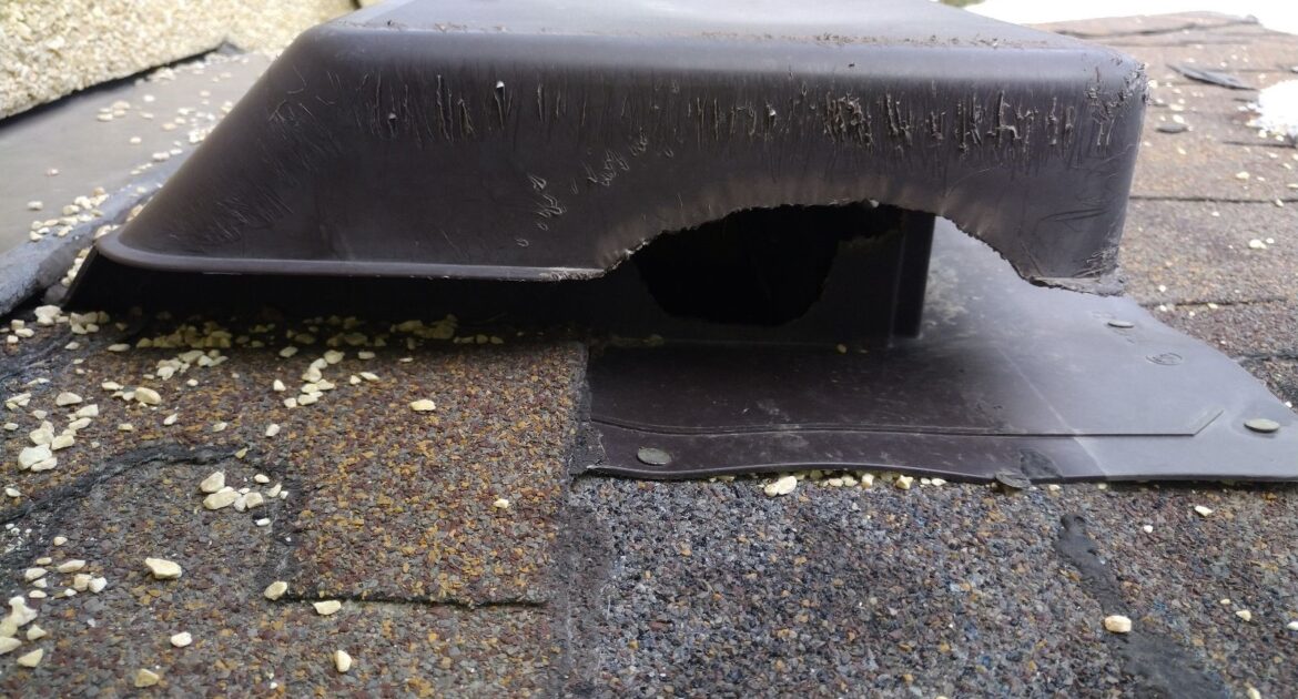 How Squirrels Access Your Home Through Roof Vents