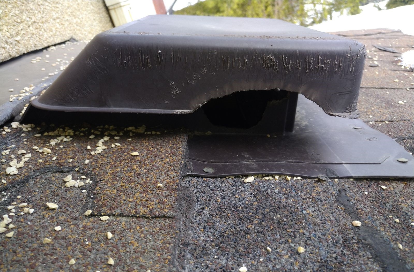 How Squirrels Access Your Home Through Roof Vents