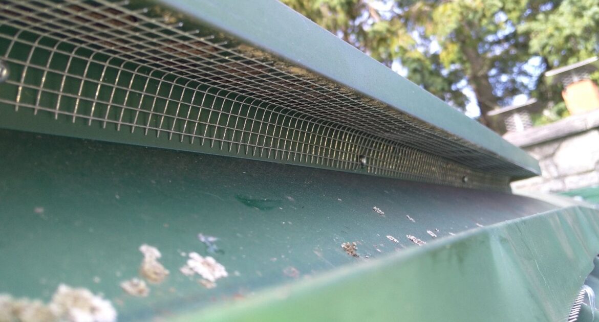Roof Repairs - Keeping Bats Out Of Your Home