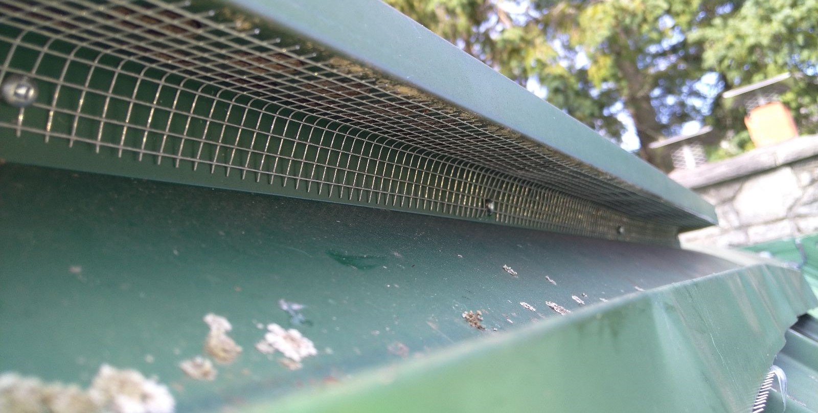 Roof Repairs - Keeping Bats Out Of Your Home