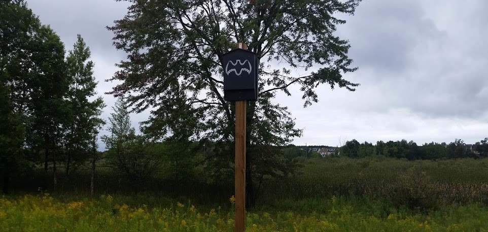 Bat Houses - How They Are Beneficial