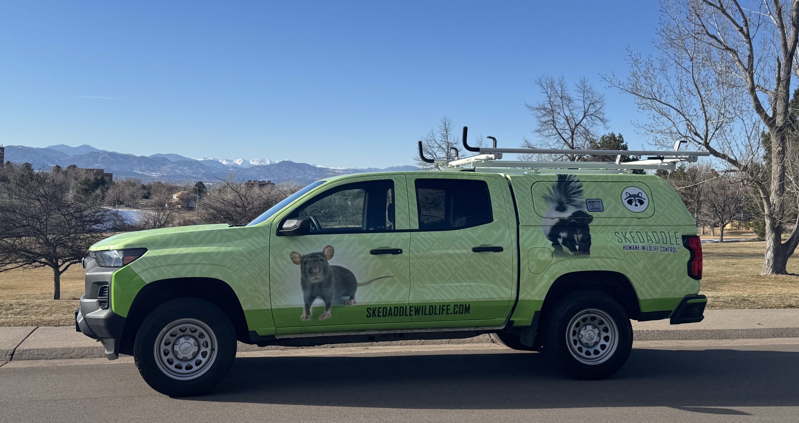 Denver Truck mountain landscape skedaddle humane wildlife control February 2025 1