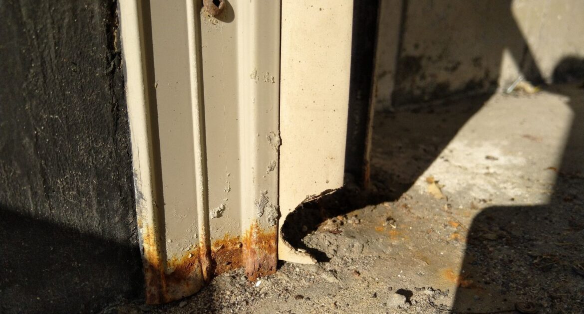 How To Keep Mice Out Of Your Garage - Tips From An Expert