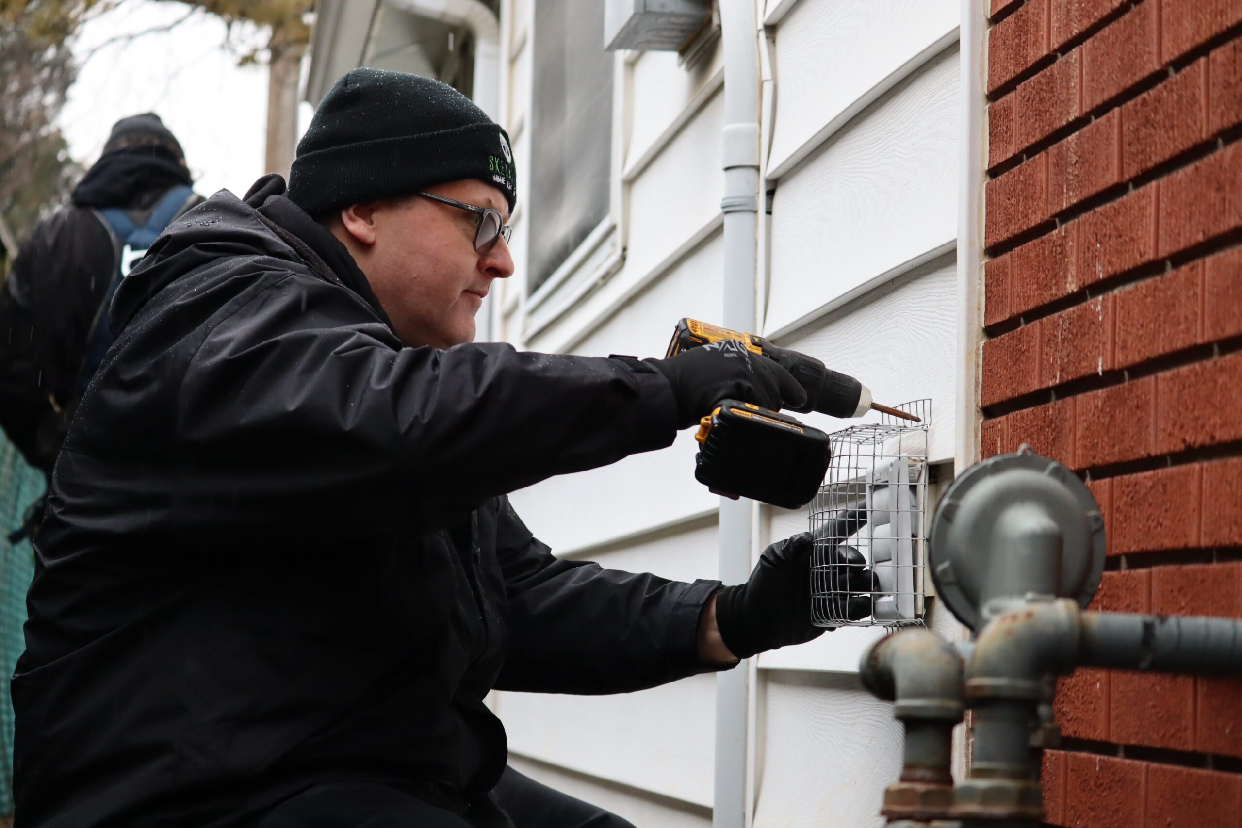 wildlife technician removes baby raccoon from an attic (1)
