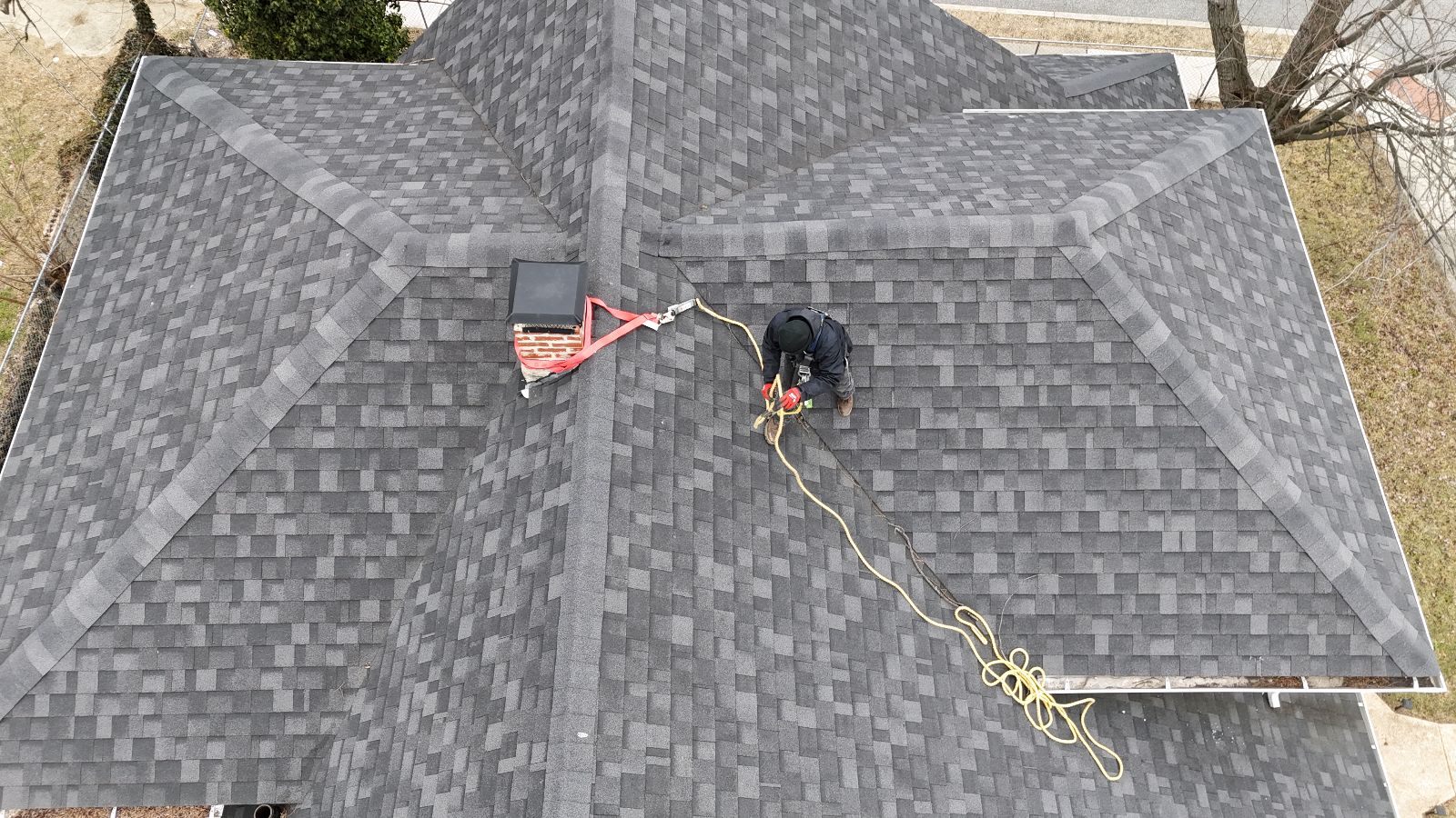 How Our Lifetime Warranty Can Help Protect Your Home Against Squirrel Damage
