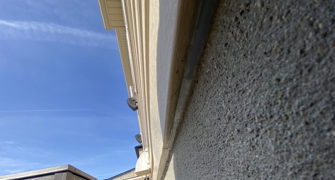 Rental Property Wildlife Control - How To Keep Mice Out