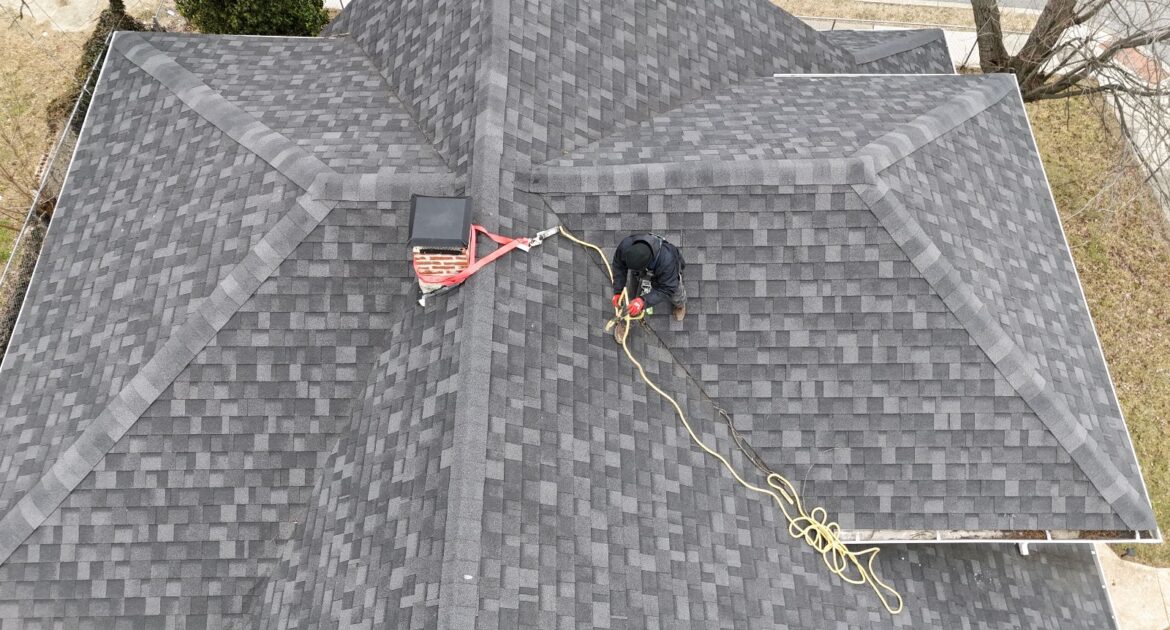 The Most Common Wildlife Entry Points In A Home