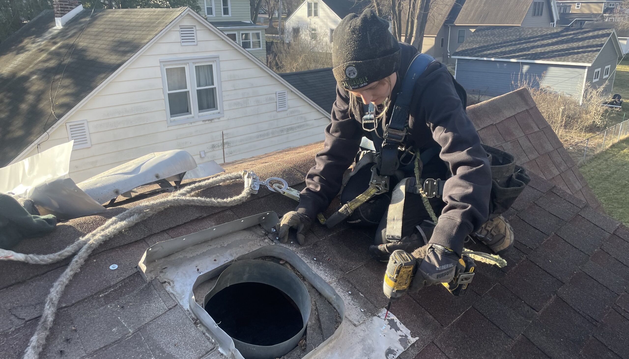How to Spot Wildlife Damage in Your Home Before It’s Too Late
