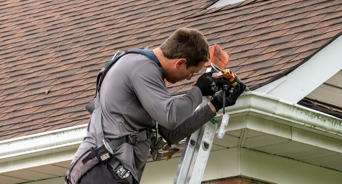 Humane Wildlife Removal