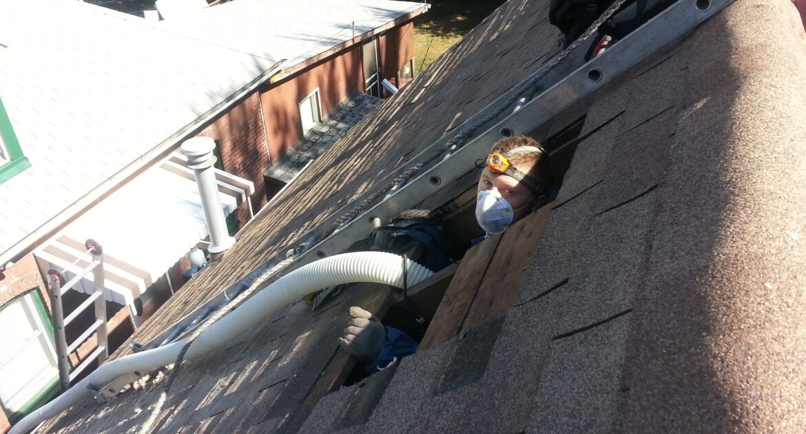 Attic Insulation Destroyed