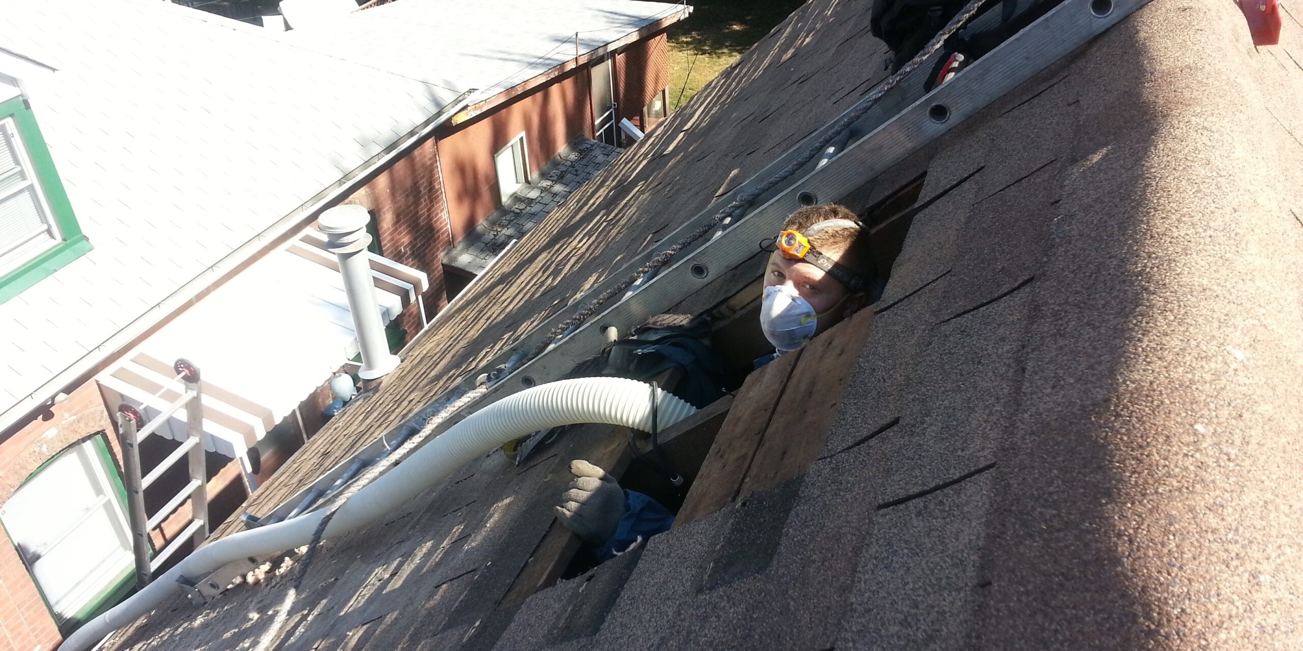 Attic Insulation Destroyed