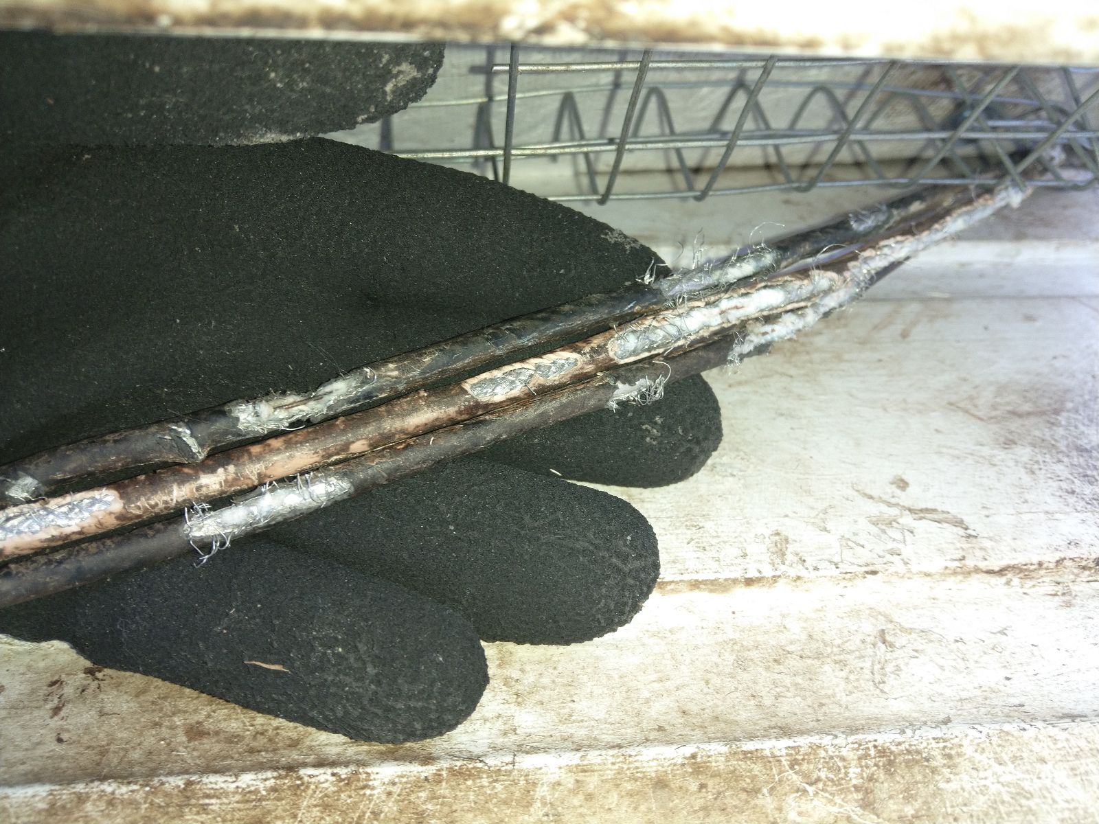 Chewed Wires and Fire Hazards