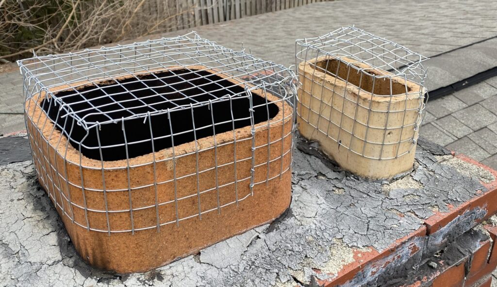 Columbus Raccoon Entry