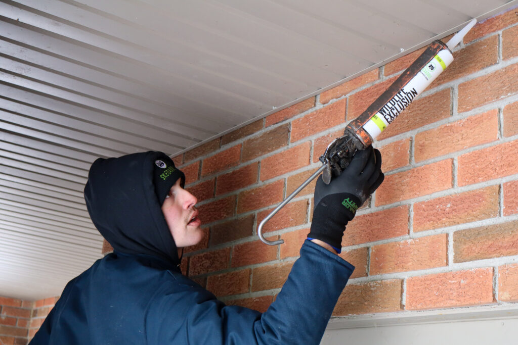 How Bat Droppings Impact Indoor Air Quality How Bat Droppings Impact Indoor Air Quality