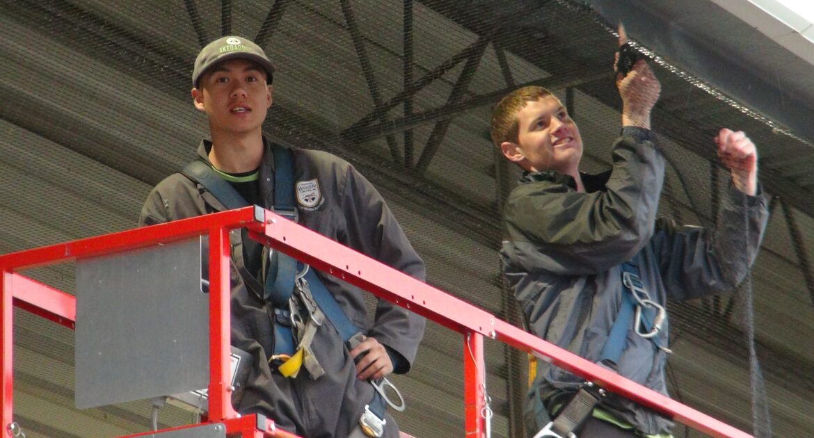 How Birds Spread Droppings and Disease in Toronto Businesses in Winter