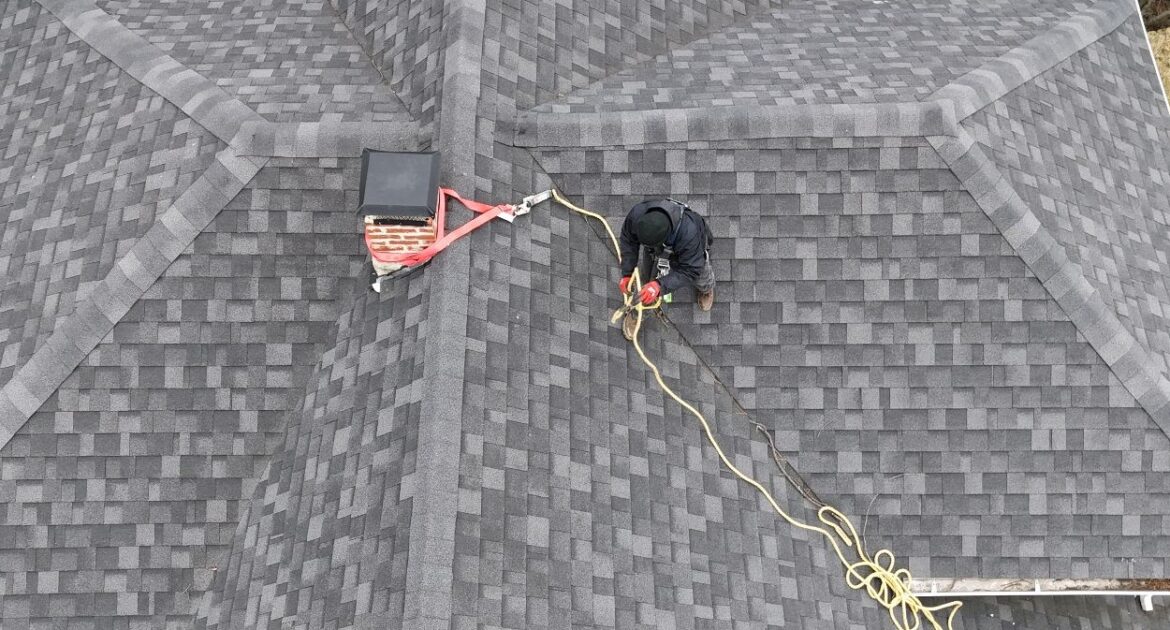 How Humane Wildlife Removal Protects Homes From Raccoons Before Baby Season