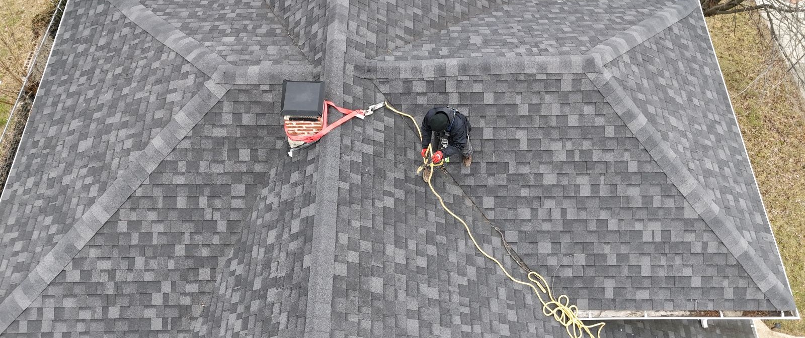 How Humane Wildlife Removal Protects Homes From Raccoons Before Baby Season