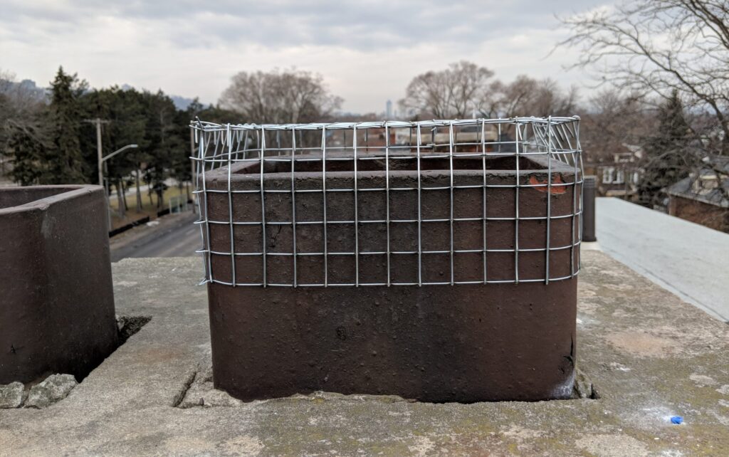 Completed Screen Against Raccoons