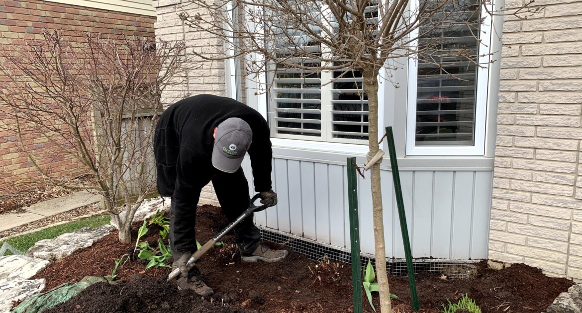 Protecting Homes From Wildlife Damage Before the Holidays