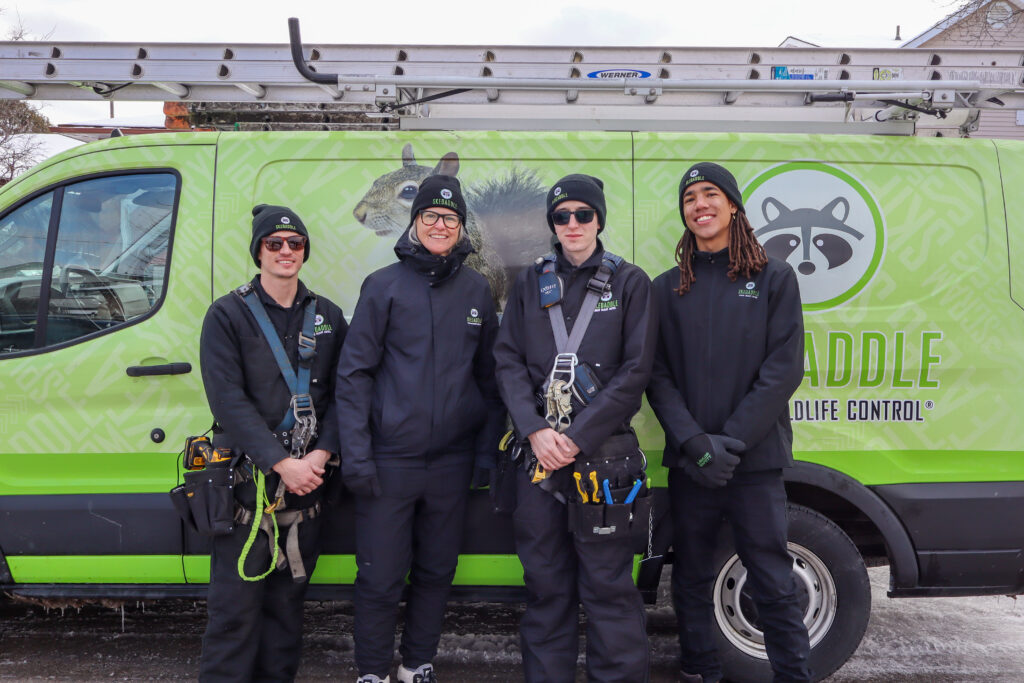 Skedaddle Denver Team Skedaddle Denver Team