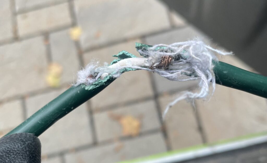 Squirrel Chewing Cord Insulation Squirrel Chewing Cord Insulation