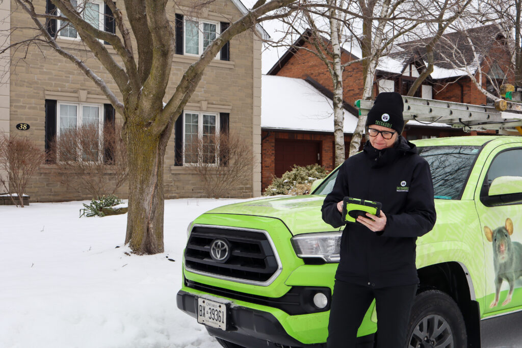 When and How to Seek Expert Wildlife Removal in Denver