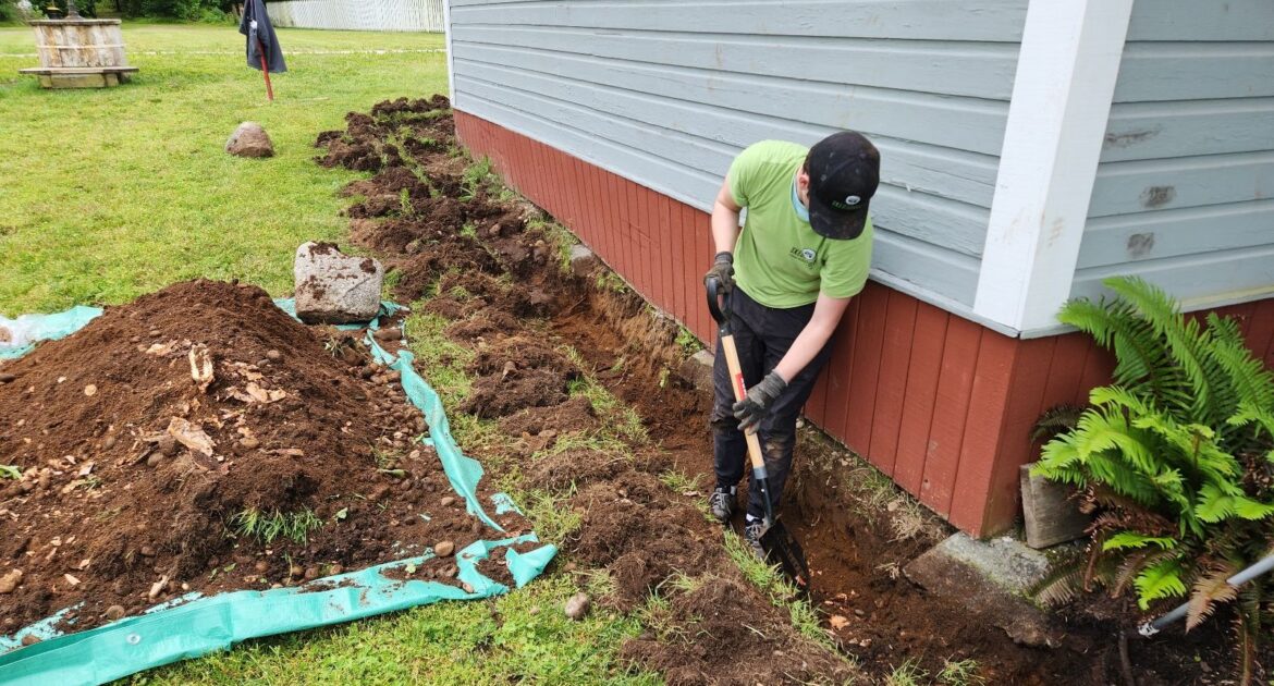 Why Wildlife Prevention Is the Best Holiday Gift You Can Give Your Home