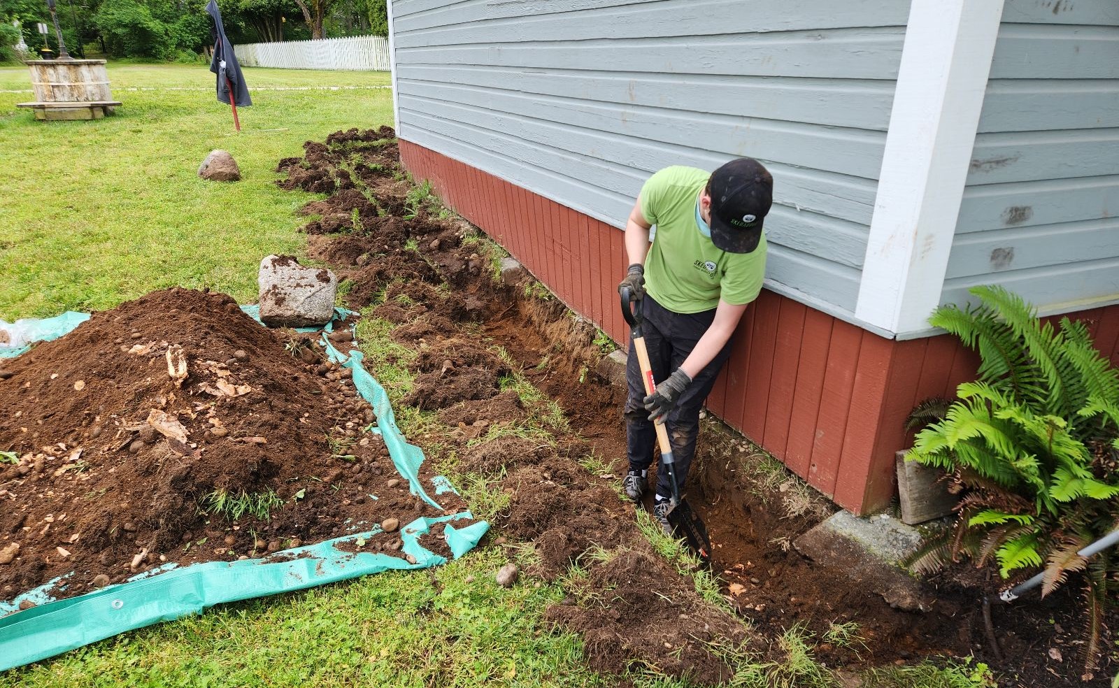 Why Wildlife Prevention Is the Best Holiday Gift You Can Give Your Home