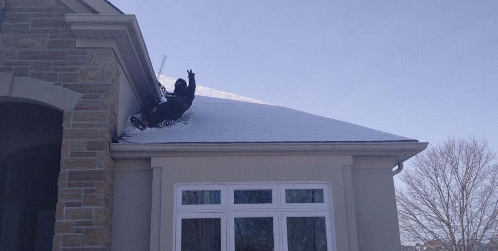 Wildlife Exclusion Team Working Snow