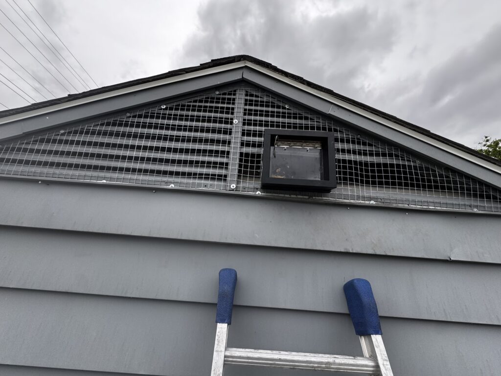 A heavy-duty mesh screen and a black one-way wildlife exit door installed over a grey attic gable vent to humanely remove raccoons.