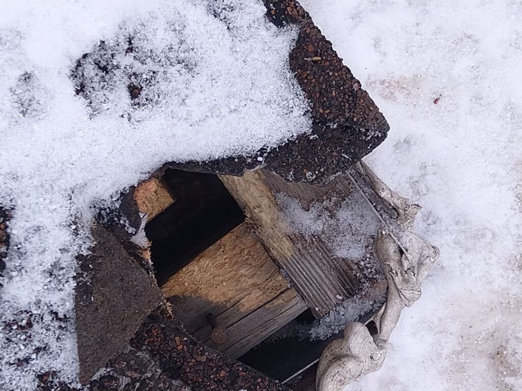 Damage Raccoon Entry Roof Corner Damage Raccoon Entry Roof Corner