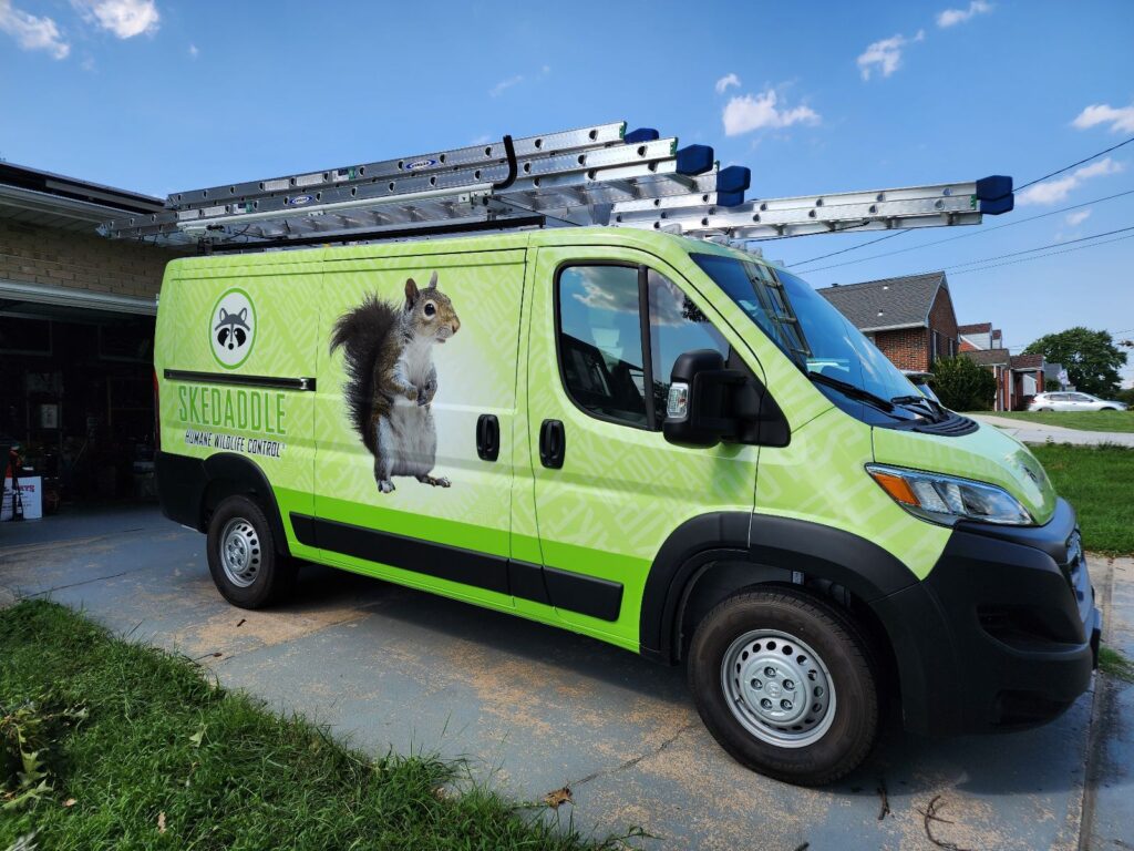 Skedaddle Truck in Driveway Baltimore