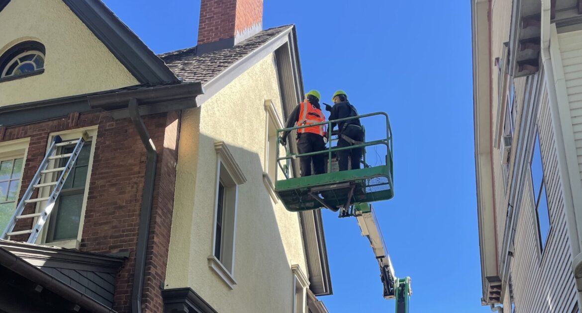 How Skedaddle’s Multi Species Prevention Plans Protect Homes All Winter