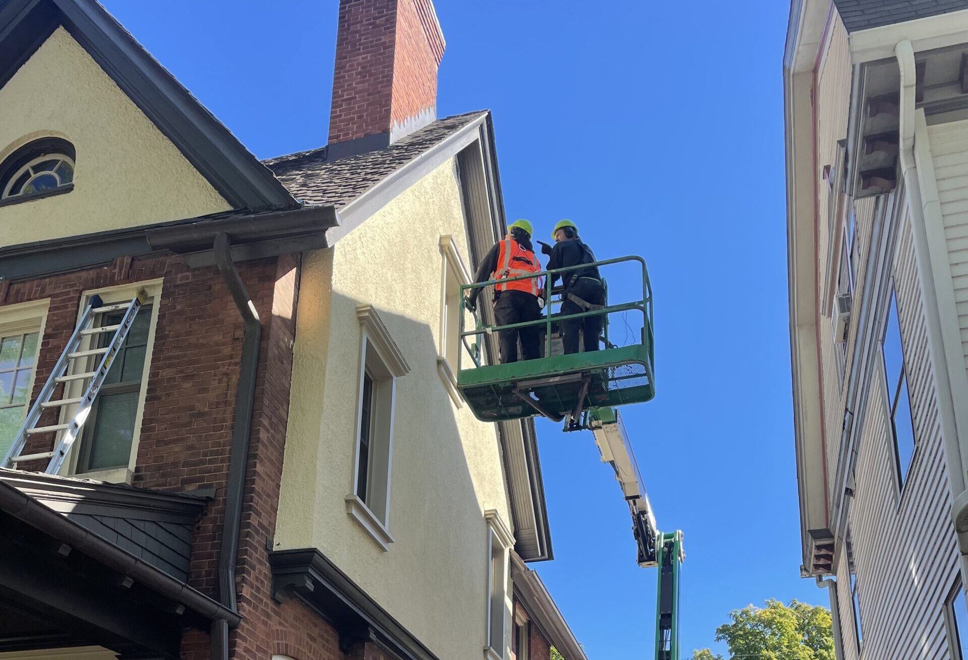 How Skedaddle’s Multi Species Prevention Plans Protect Homes All Winter